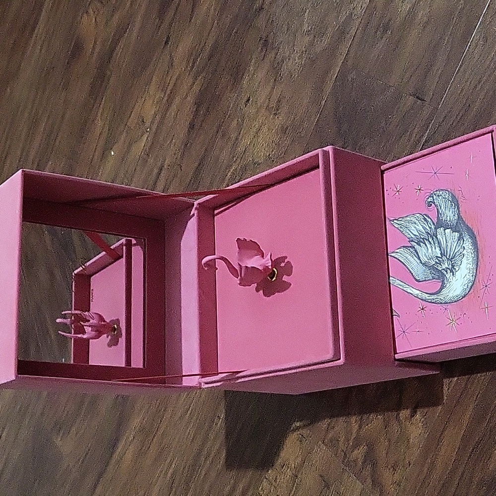 Roger vivier jewel box